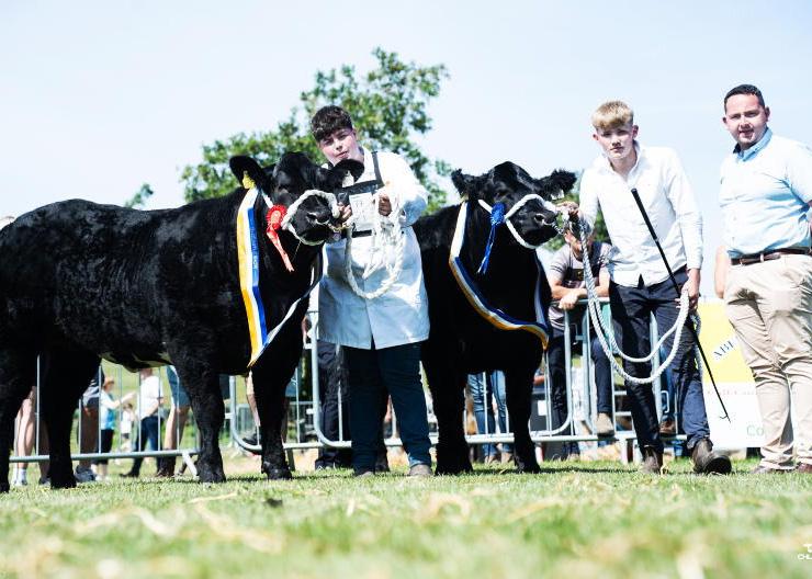 In Pictures: sunshine lights up summer shows