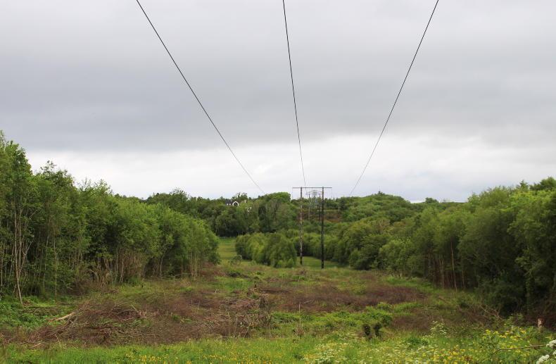 Innovative solutions required to safeguard future energy supply 