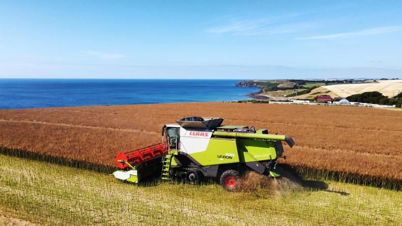 Impressive oilseed rape and a GPS theft