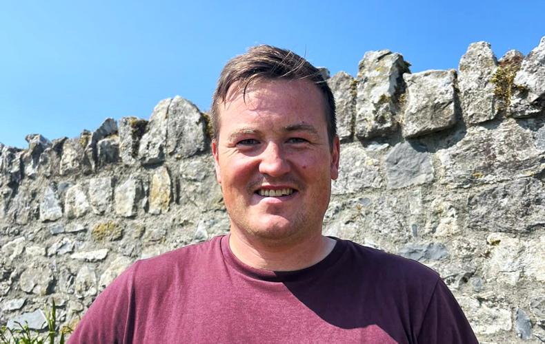 Future-focused dairy farming: roadshow to share advice to drive profitability 