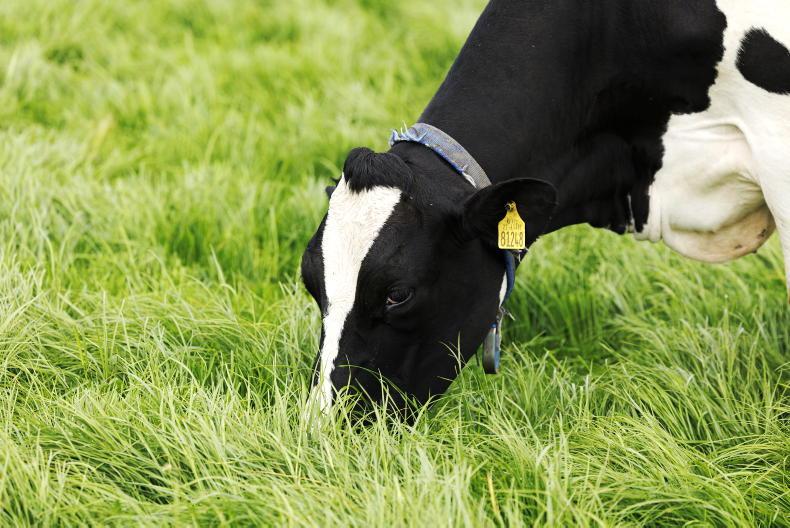 Nitrates poisoning warning as rain returns to parts of the country