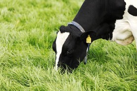 Nitrates poisoning warning as rain returns to parts of the country