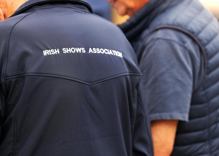 In pictures: young shepherds take centre stage at Ossory Show