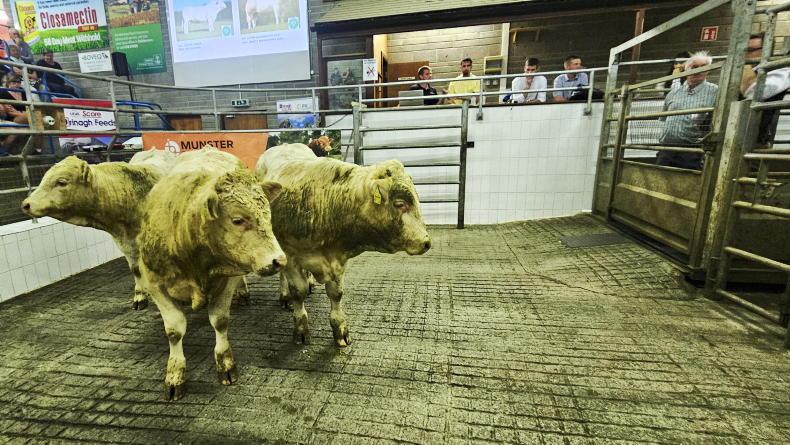 Pneumonia vaccinations vital for African weanling market - exporter