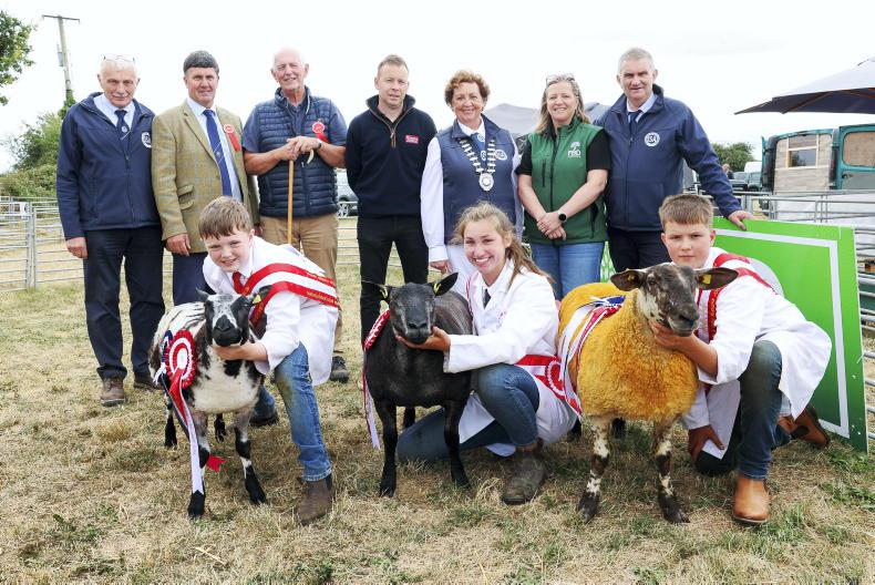 Roscommon, Laois and Donegal take young shepherd titles