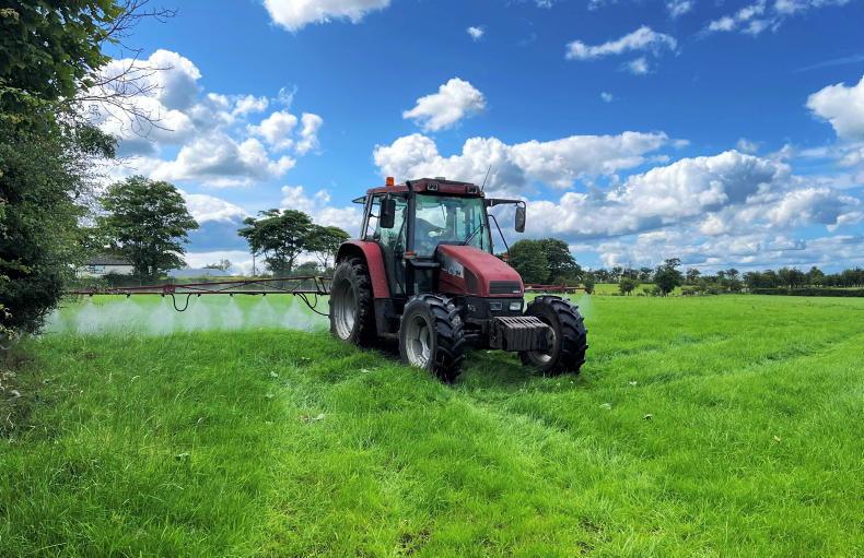 Getting on top of weed control in new swards 