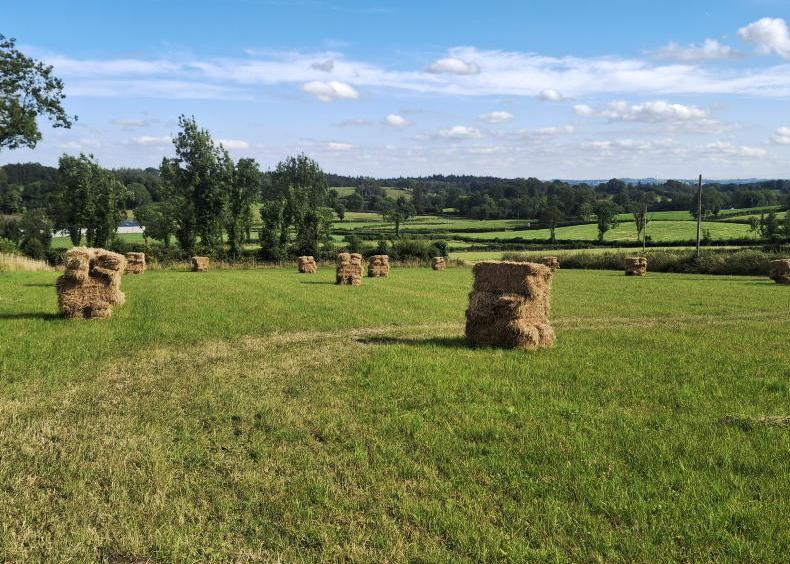 Making hay while the sun shines