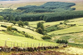 New evidence on earliest farming communities in west of Ireland