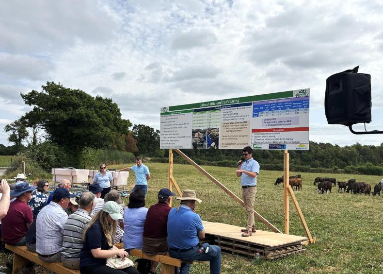 Labour key focus for Ballyvadin dairy calf to beef