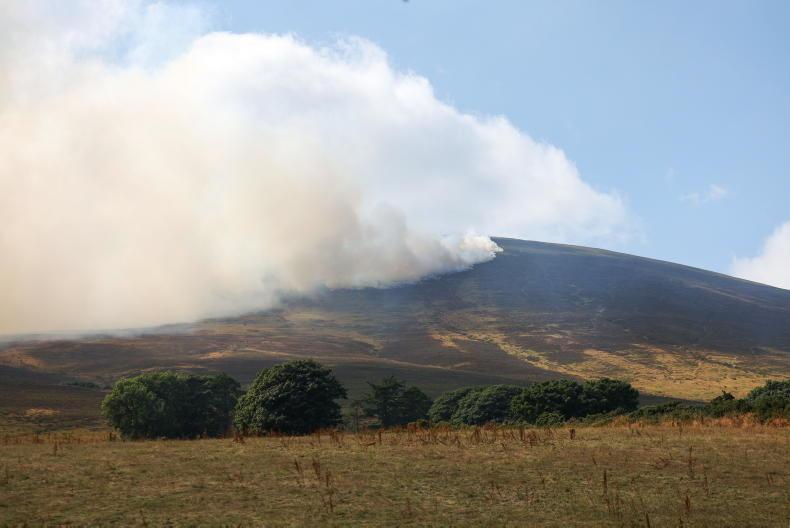 Wildfires a 'wake-up call' claim farm bodies
