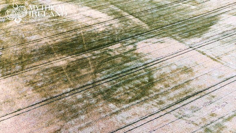 Dry weather unveils new ringfort in Meath