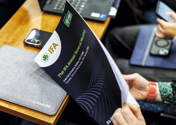 IFA examines electronic voting for 2027 elections