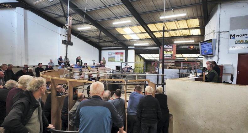 'The farmer has to go on': Inside Ballina Mart after Mayo's All-Ireland triumph