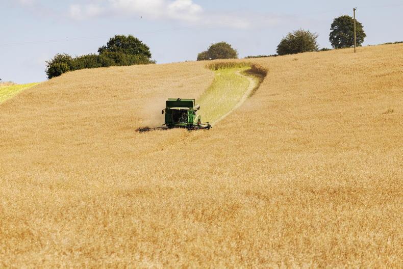 Early harvest continues with wheat, rye and spring barley