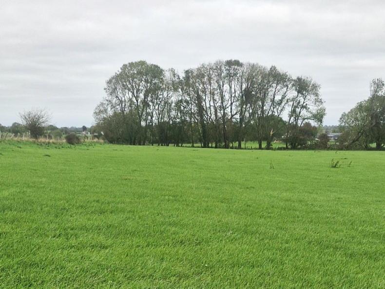 Teagasc incomes contrast with farming