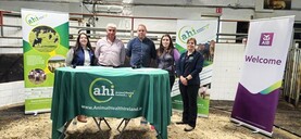 Weanling roadshow to focus on health, weights and sale preparation