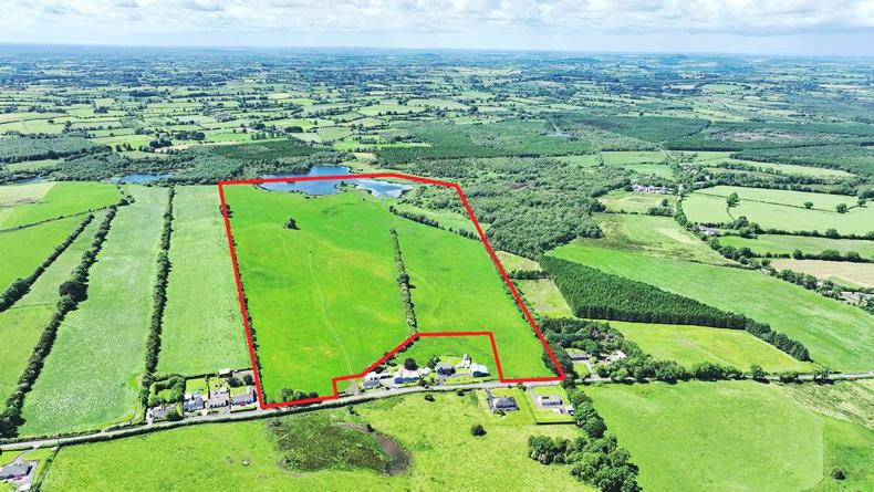 Lakeside Westmeath holding sells for €1.5m at auction amid buyer speculation
