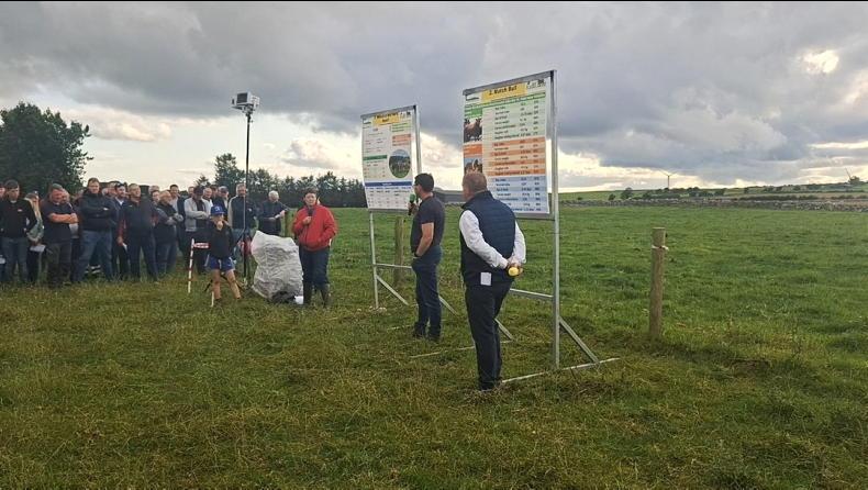 Watch: Roscommon farmer shares breeding lessons after difficult calving