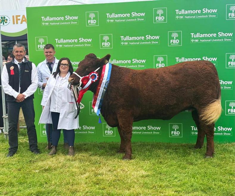 Saler all-Ireland calf titles on the line in Tullamore