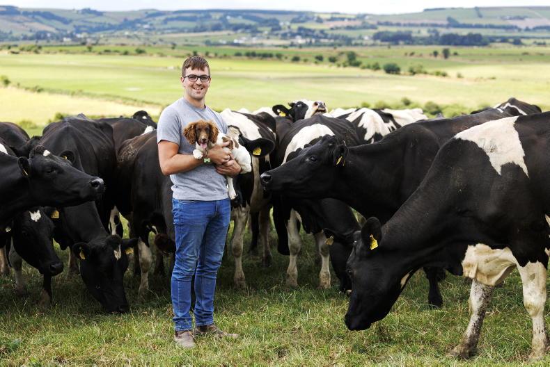 My Farming Week: Michael Sheehan, Rathcoola, Donoughmore, Co Cork.