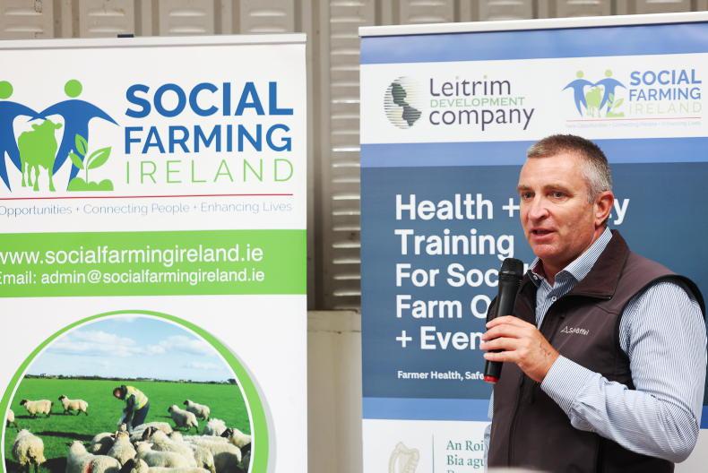 New farm safety guidance for social farmers and farm walk hosts
