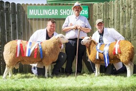 Togherbeg Magnificent claims Belclare All-Ireland for breeder Barry Cunningham