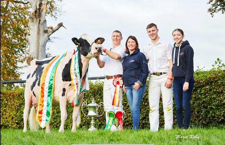 Tullamore Show: Record dairy entries for €25,000 prize fund