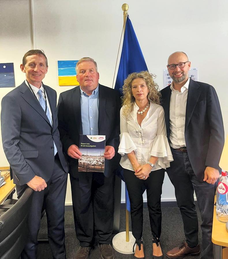 TAMS and vulnerable-sector supports among budget 2027 priorities