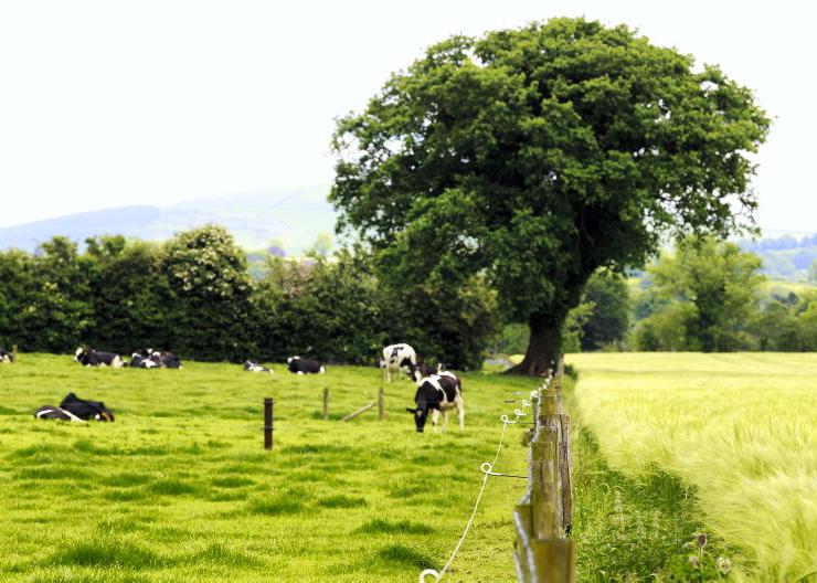 Battle for land access not a new phenomenon 