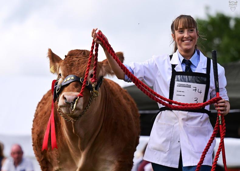 Countdown is on to Ireland's premier livestock show