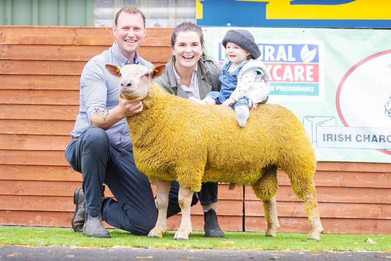 Emperor overrules them all in Blessington