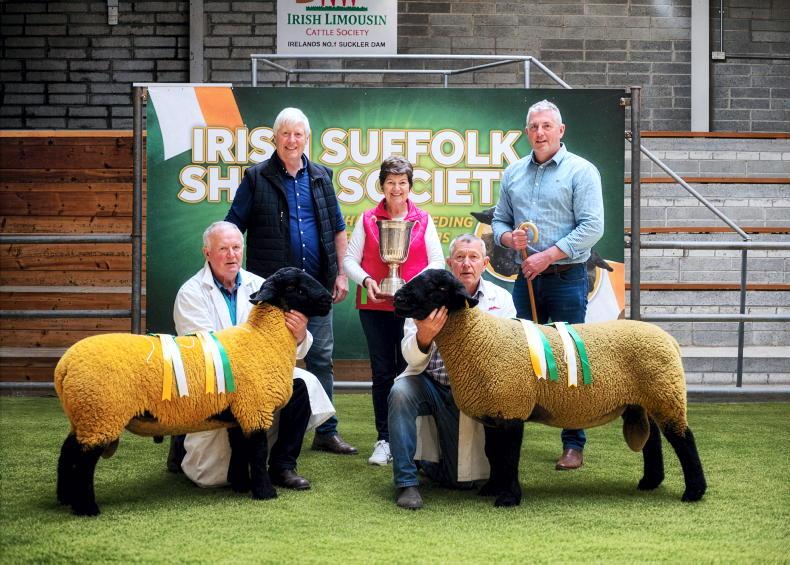 New breeders drive strong demand at Suffolk premier sale