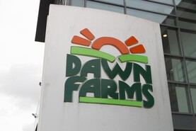 Profits drop at Queally-owned Arrow Group