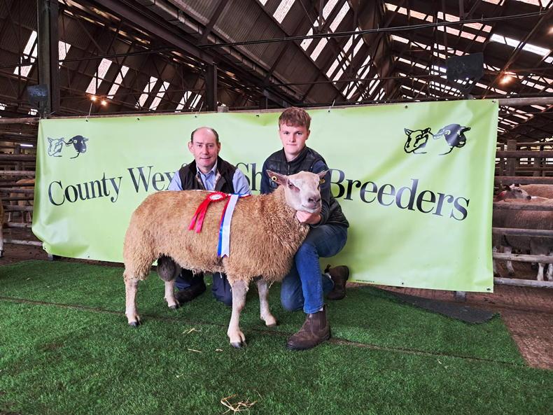 County Wexford Sheep Breeders Association celebrates 135 years