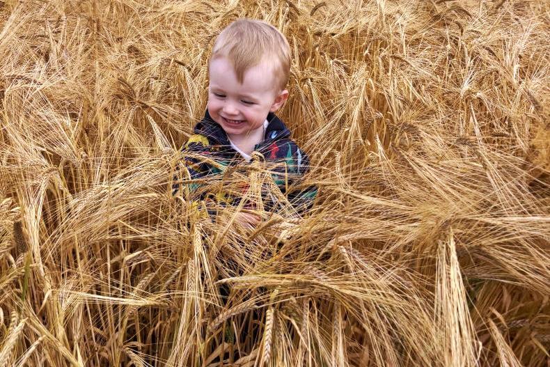 Country Vibes... a few of our favourite things
