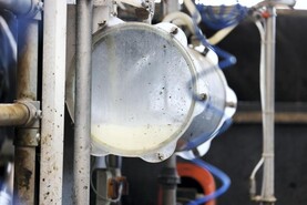 Global Dairy Trade index up slightly