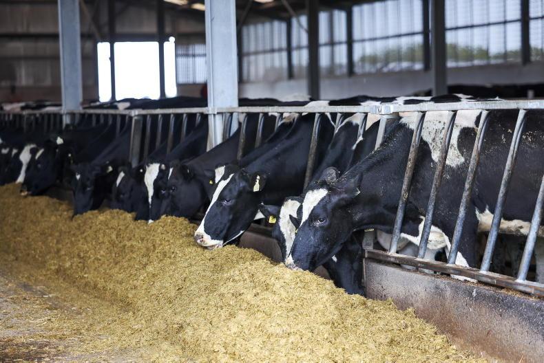 Dairy Management: crude protein in feeds and winter feed requirements