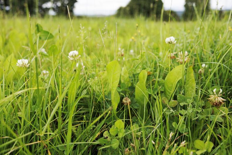 Demand for Farming with Nature doubles