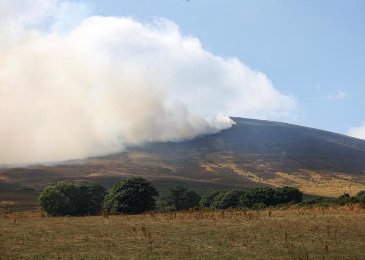Direct payments can't be burned by wildfires, warn INHFA 