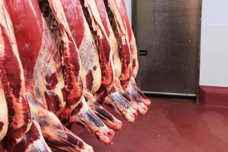 Beef Trends: smaller factories propping up price