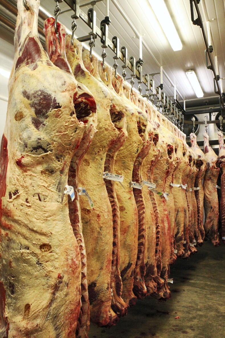 Beef export value per kilo increases