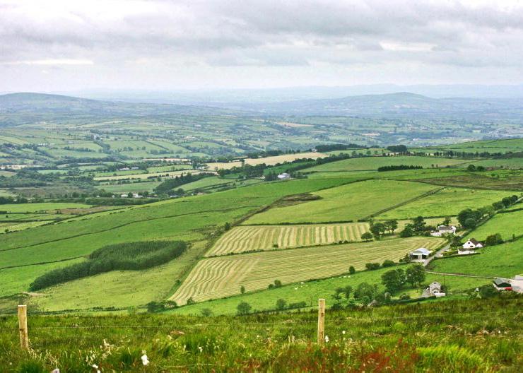 NI land prices rise four-fold in 25 years