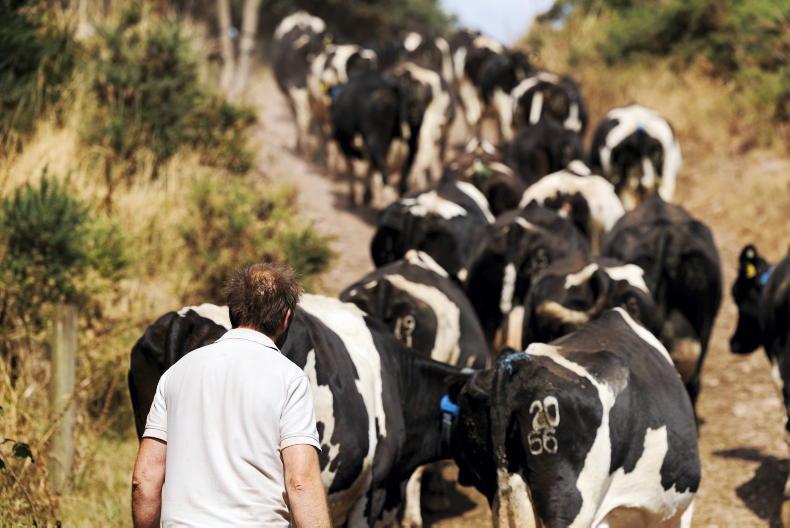 Fertiliser warning as lack of rain hits growth
