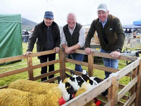  In pictures: highlights from the 57th Clonmany Agricultural Show