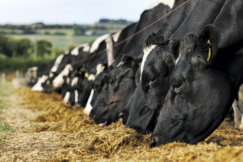 Dry spell continues to bite in the south and east