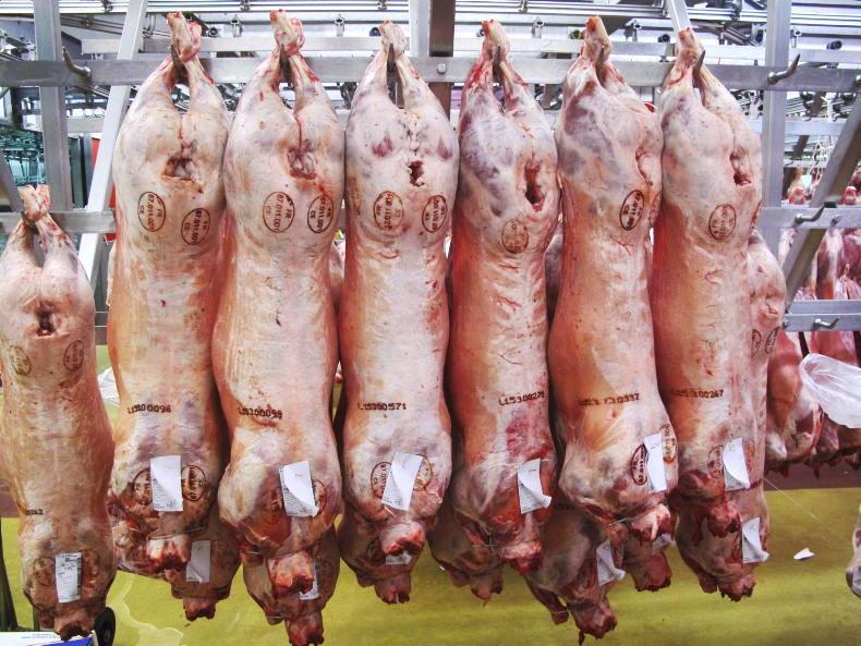 Sheep Trends: cuts of 30c/kg as factories blame seasonal price pressure