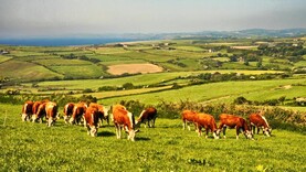 The taxing questions around land