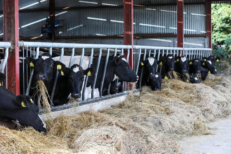 Milk yield is falling, should you be concerned?