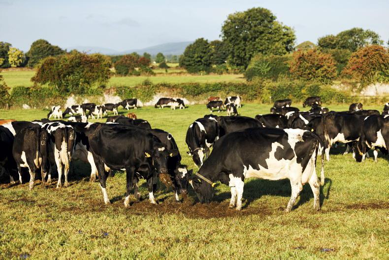 European drought could bring some relief for Irish milk prices