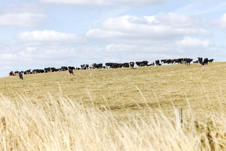 The Grass Week: dry farms struggling to hit growth predictions